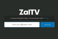 Daftar Kode ZalTV Terbaru 2025 dan Cara Aktivasinya, Dapatkan Layanan Premium GRATIS